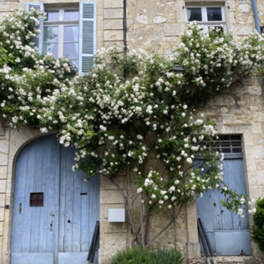 The Slow Life in France