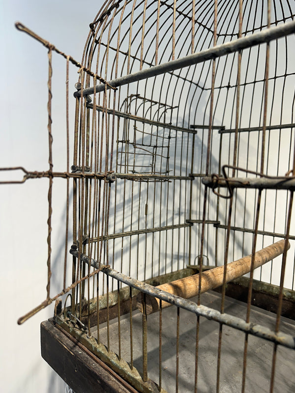 Antique Cortona Birdcage