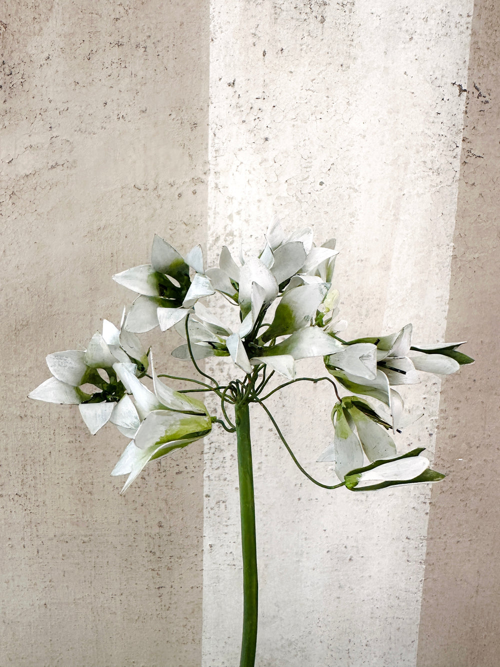 Standard Agapanthus Sculpture