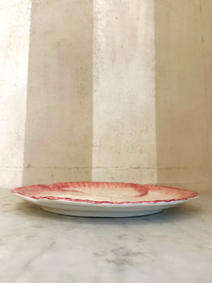 Pink/Cream Radicchio Dinner Plate
