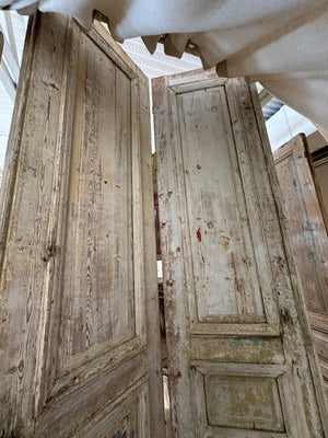 Antique Geneva Doors