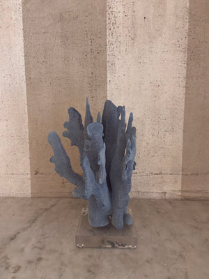Azure Coral Sculpture