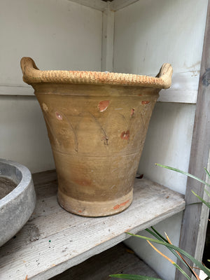 Medici Handled Pot