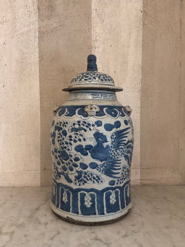 Imperial Phoenix Ginger Jar