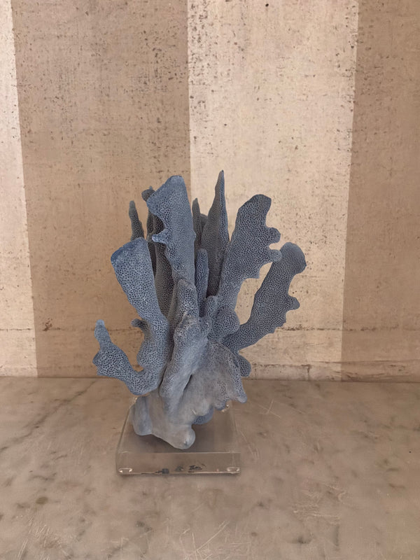 Azure Coral Sculpture