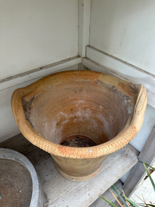 Medici Handled Pot