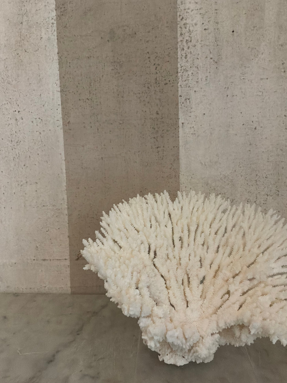 Luna Cup Coral Sculpture