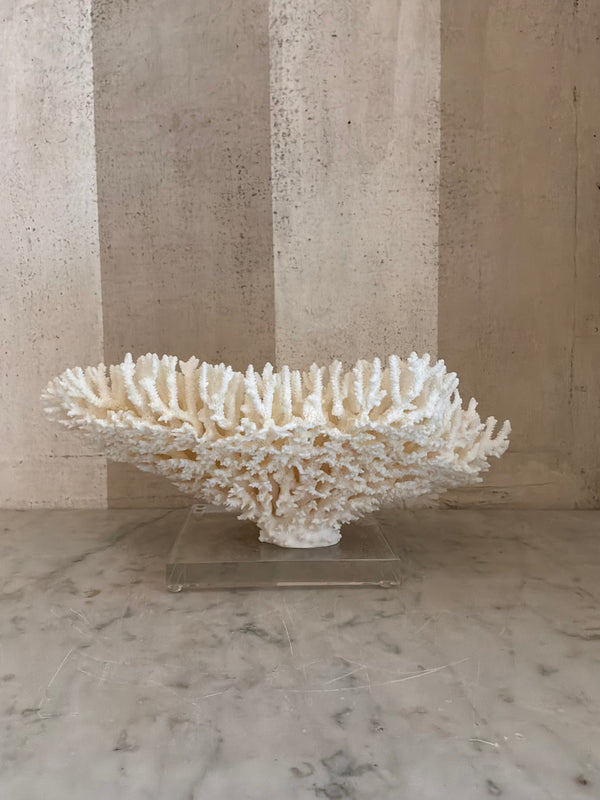 Calypso Cup Coral Sculpture