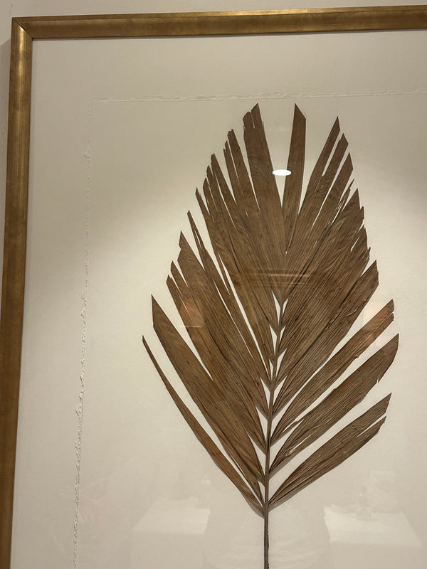 Dried Brown Leaf in Gold Frame