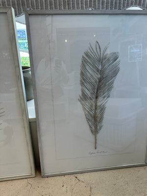 Dried Frond 9
