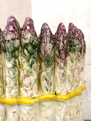 Asparagus Cachepot
