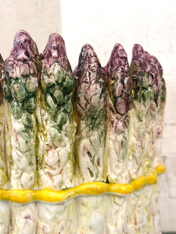 Asparagus Cachepot