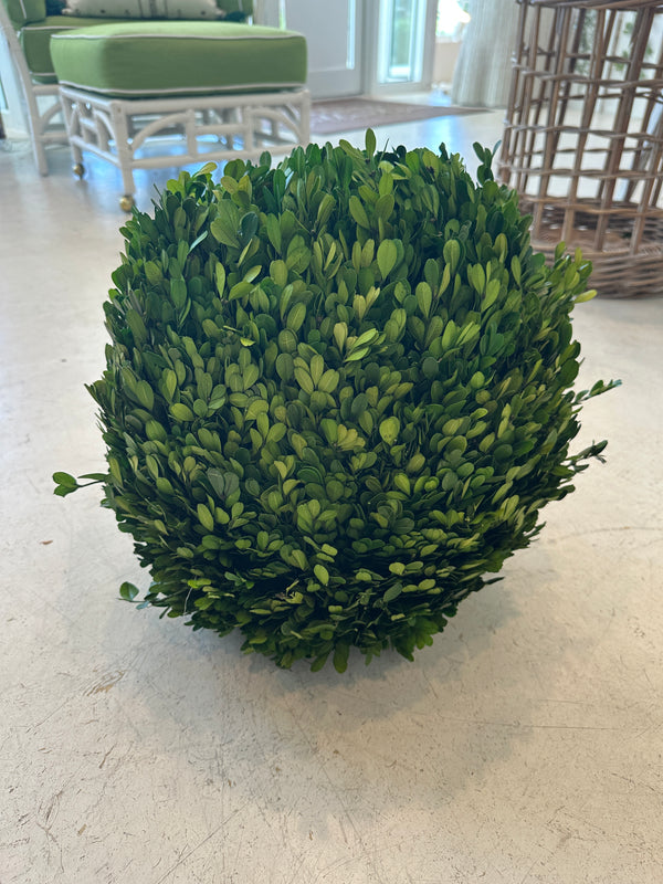 16" Preserved Boxwood Sphere