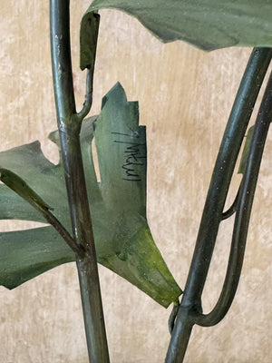Metal Ranunculus Flower Sculpture
