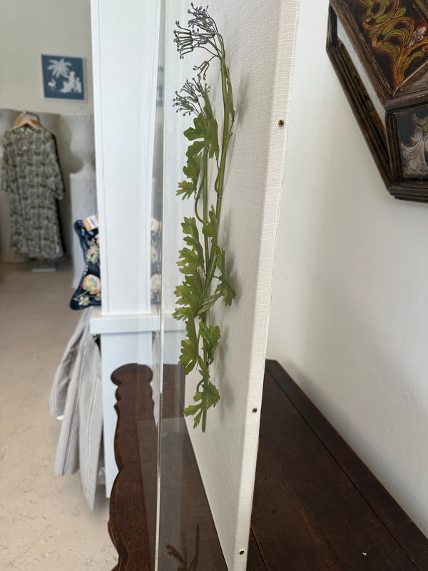Rosemary Herb Studies