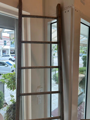 Brown Tall Ladder