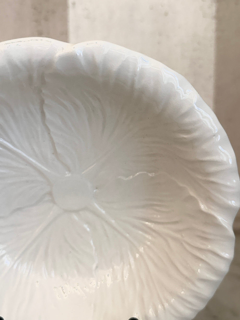 White Radicchio Bowl
