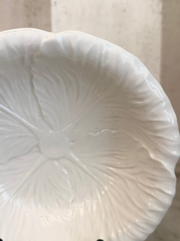 White Radicchio Bowl