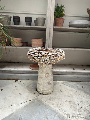 Oyster Shell Bird Bath