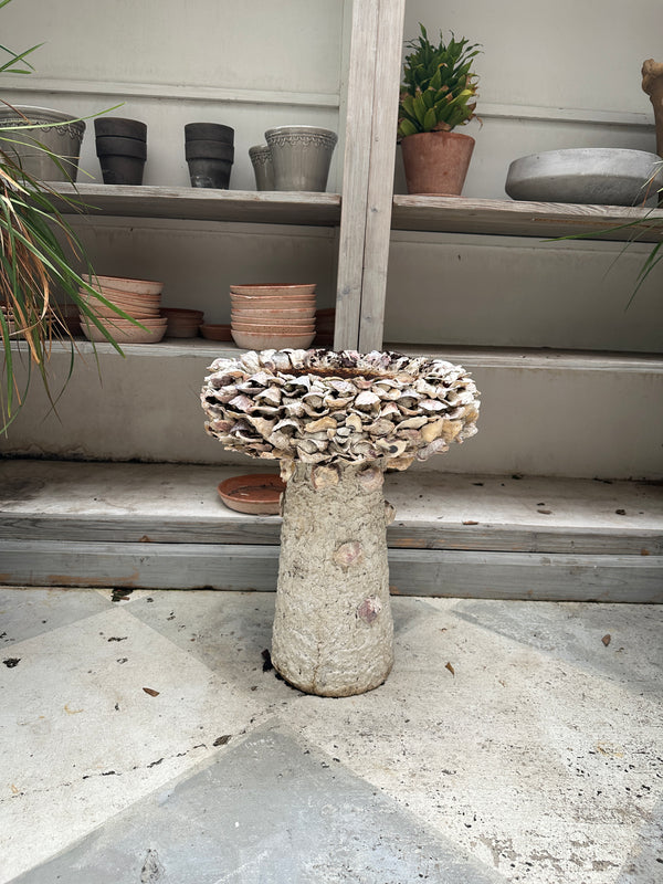 Oyster Shell Bird Bath