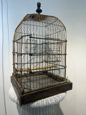Antique Cortona Birdcage