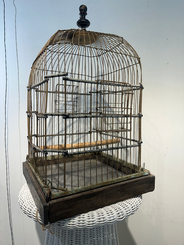 Antique Cortona Birdcage