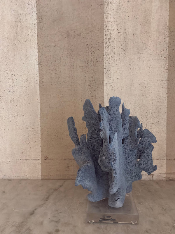 Azure Coral Sculpture