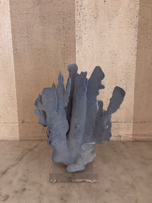 Azure Coral Sculpture