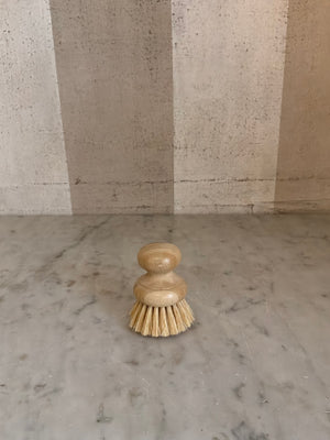 Beechwood Dish Brush