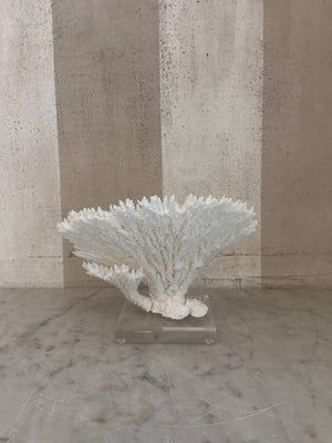 Luna Cup Coral Sculpture