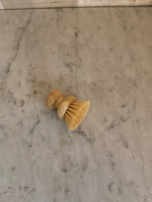 Beechwood Dish Brush
