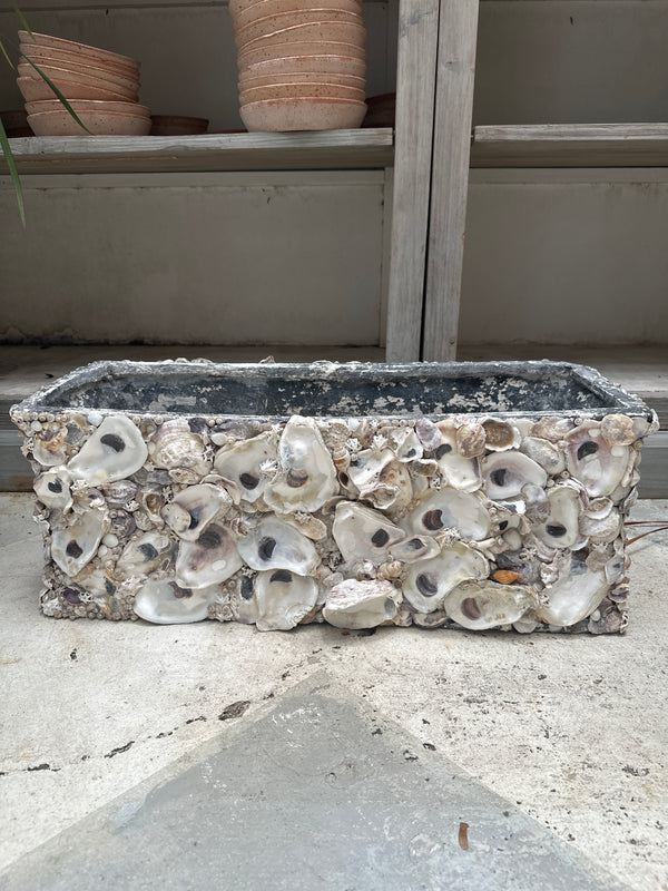 Antique French Shell Metal Planter