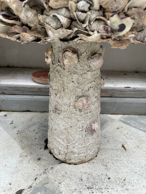 Oyster Shell Bird Bath