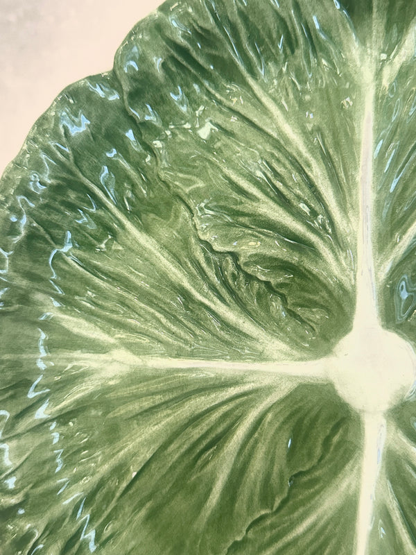 Green Radicchio Salad Plate