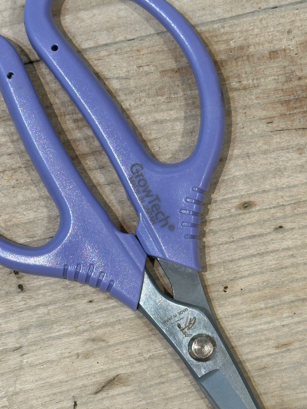 Violet Multi Purpose Scissors