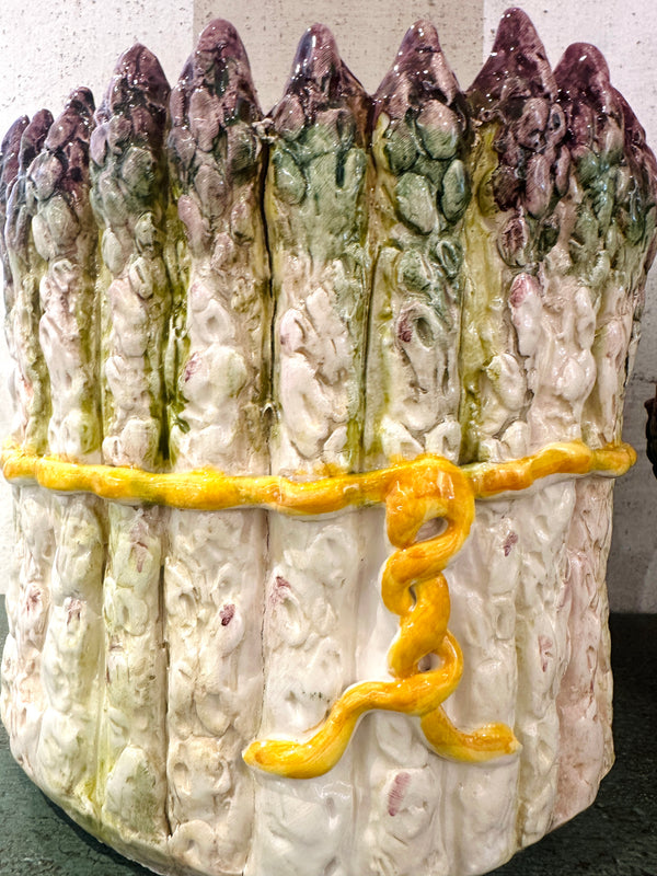 Asparagus Cachepot
