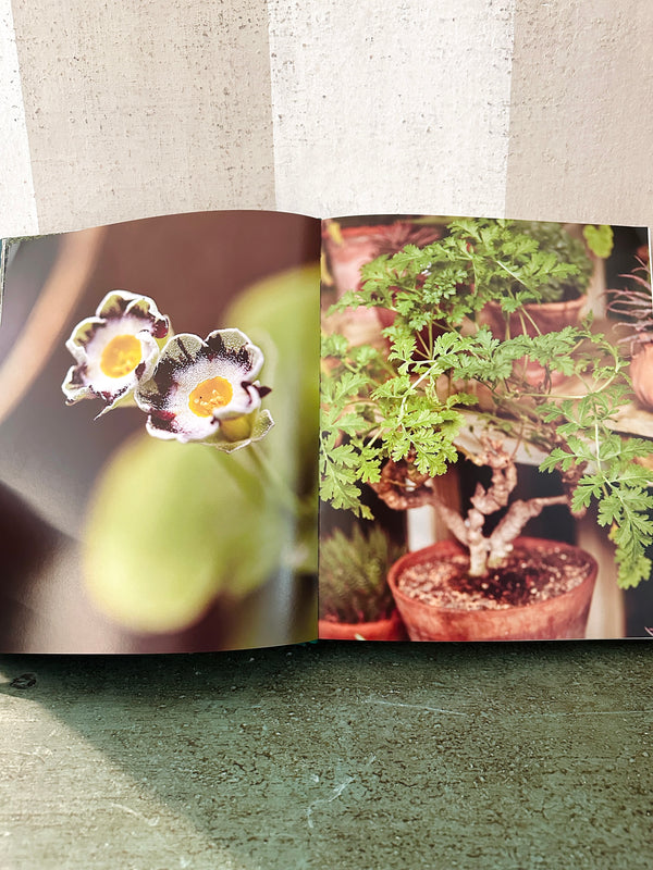 Bunny Williams: Life in the Garden