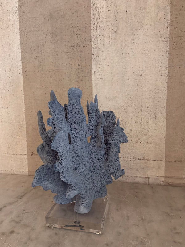 Azure Coral Sculpture