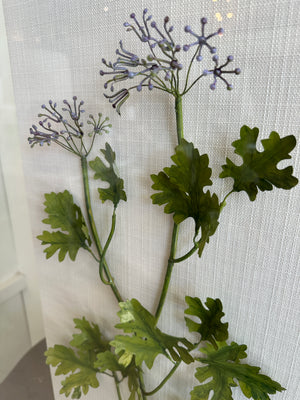 Rosemary Herb Studies
