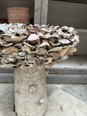 Oyster Shell Bird Bath