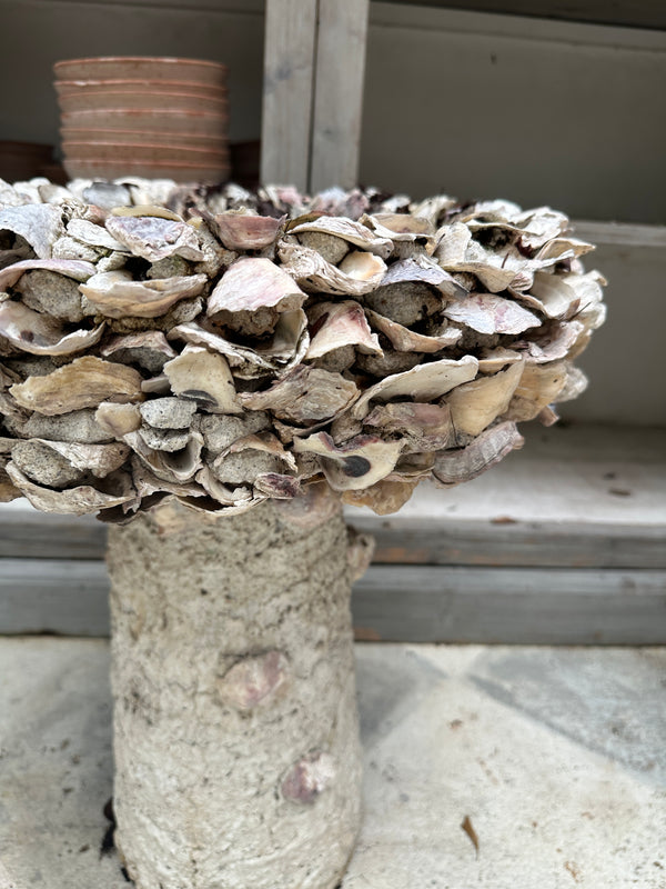 Oyster Shell Bird Bath