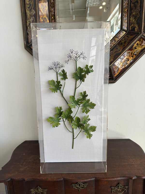 Rosemary Herb Studies
