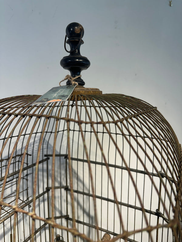 Antique Cortona Birdcage