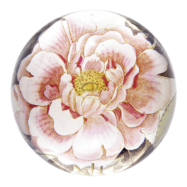 Rosa Dome Paperweight