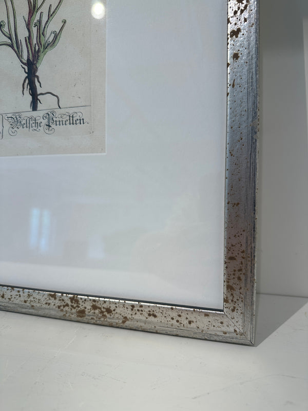 Silver Framed Botanicals