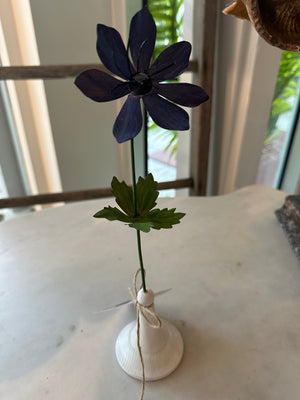 Violet Anemone