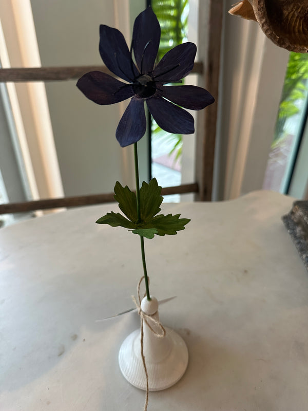 Violet Anemone