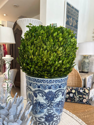 16" Preserved Boxwood Sphere