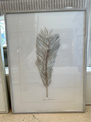 Dried Frond 9