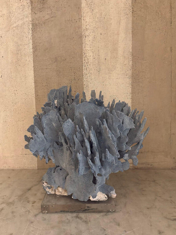 Cerulean Coral Sculpture